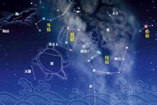 28星宿關係查詢|二十八星宿